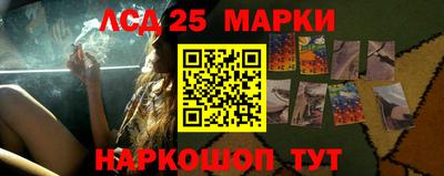 стафф Коммунар
