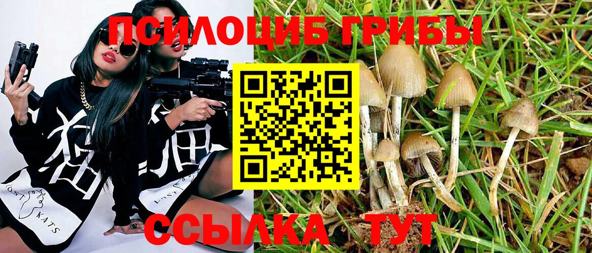 Галлюциногенные грибы ЛСД Кропоткин