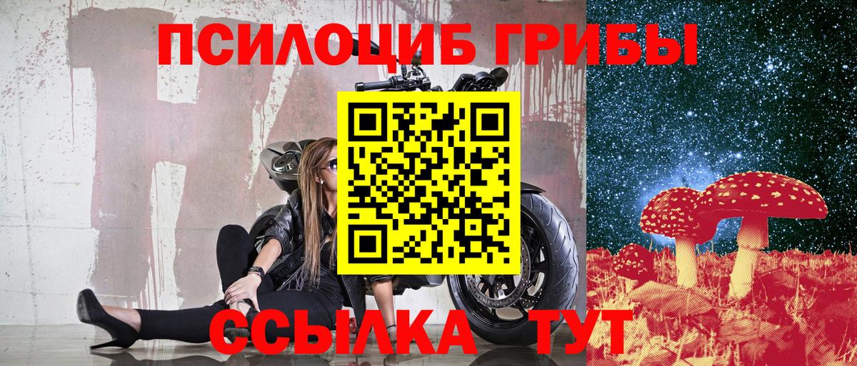 Псилоцибиновые грибы Psilocybine cubensis  Вход с VPN  Кропоткин 